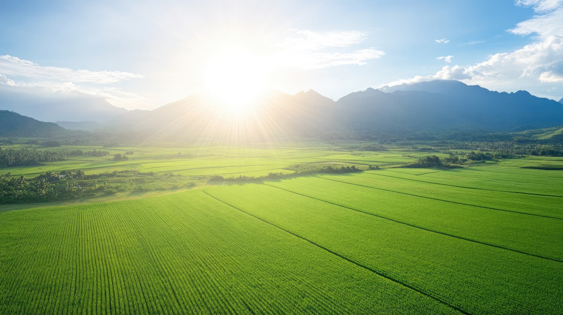 Expansive green farmland with mountain backdrop