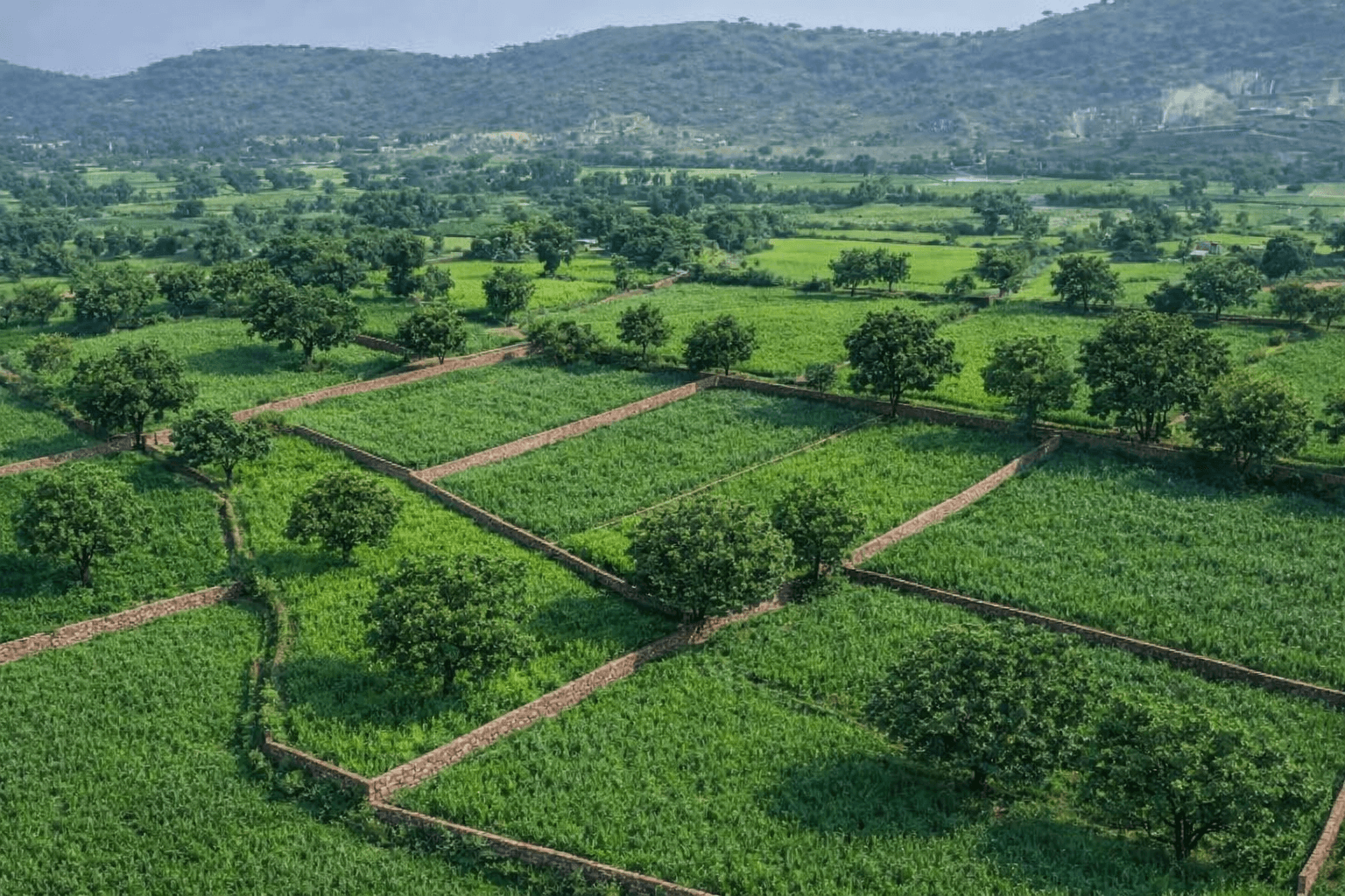 Aerial view of plotted development in hills